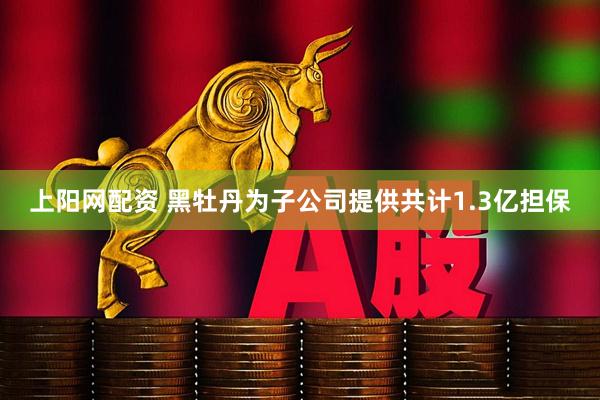 上阳网配资 黑牡丹为子公司提供共计1.3亿担保